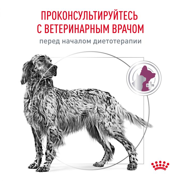 Royal Canin RENAL (РЕНАЛ) Корм ​​сухой полнорационный диетический для взрослых собак для поддержания функций почек при острой или хронической болезни почек. Ветеринарная диета