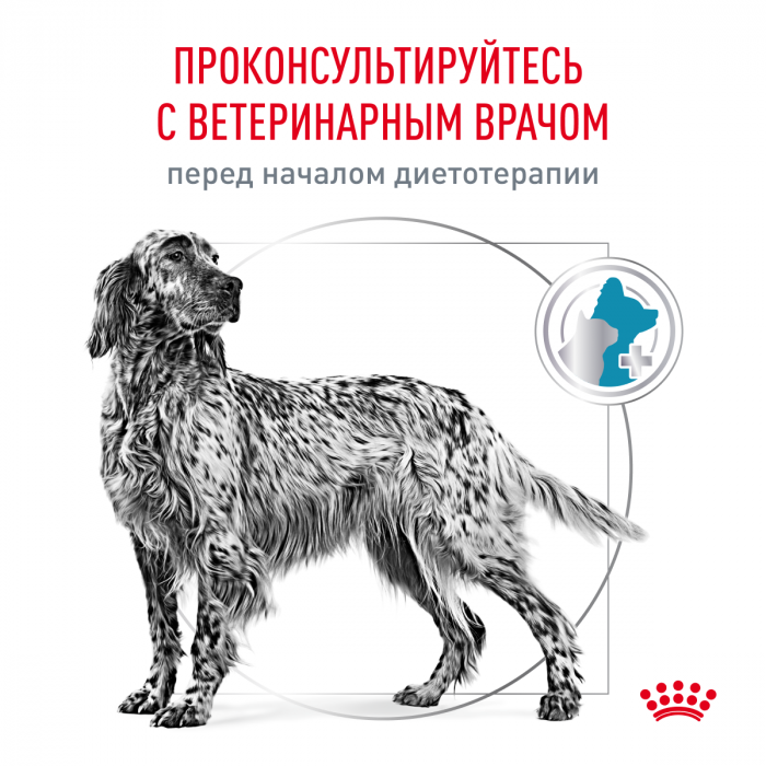 Royal Canin SENSITIVITY CONTROL (СЕНСИТИВИТИ КОНТРОЛ) для взрослых собак, активированный при диетическом контроле и непереносимости некоторых ингредиентов. Ветеринарная диета.