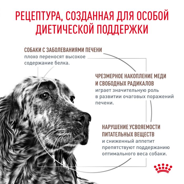 Royal Canin HEPATIC (ГЕПАТИК) Корм ​​сухой полнорационный диетический для взрослых собак предназначен для поддержания функции печени при хронической печеночной недостаточности. Ветеринарная диета