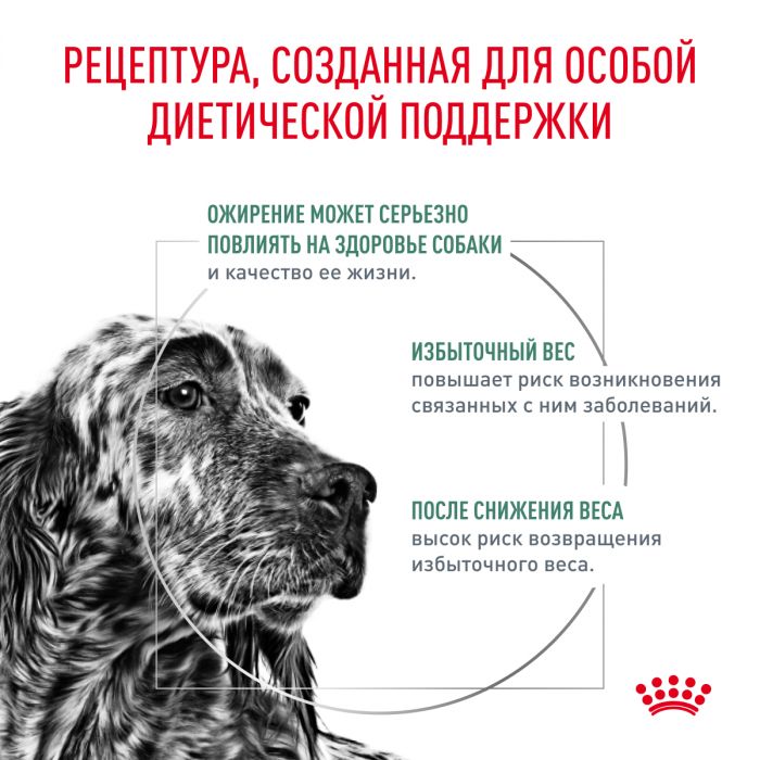 Royal Canin SATIETY WEIGHT MANAGEMENT (СЭТАЙТИ ВЕЙТ МЕНЕДЖМЕНТ) Корм ​​полностью сухой диетический для взрослых собак, основные породы для снижения веса. Ветеринарная диета.