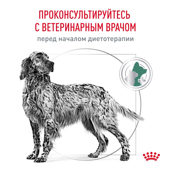 Royal Canin SATIETY WEIGHT MANAGEMENT (СЭТАЙТИ ВЕЙТ МЕНЕДЖМЕНТ) Корм ​​полностью сухой диетический для взрослых собак, основные породы для снижения веса. Ветеринарная диета.