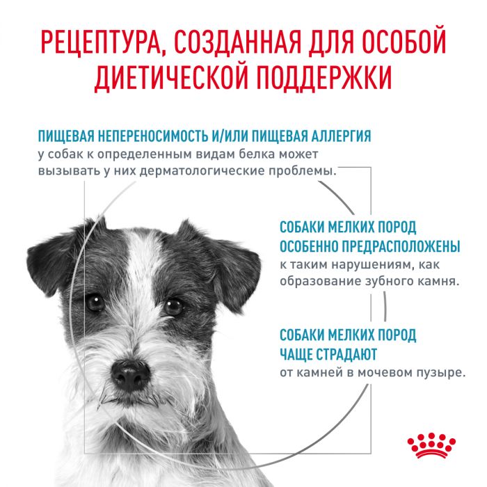 Royal Canin HYPOALLERGENIC SMALL DOG ​​(ГИПОАЛЛЕРДЖЕНИК СМОЛ ДОГ) для взрослых собак весом до 10 кг, применяется при пищевой непереносимости или непереносимости пищевых продуктов. Ветеринарная диета.