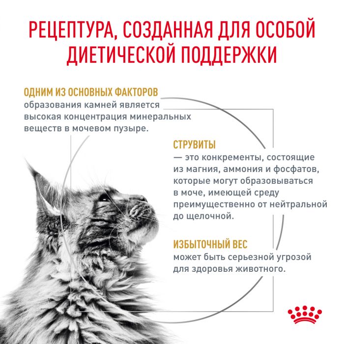 Royal Canin URINARY S/O MODERATE CALORIE (УРИНАРИ С/О МОДЕРЕЙТ КЭЛОРИ) Корм ​​сухой полнорационный диетический для взрослых кошек, предрасположенных к набору лишнего веса, сопровождения растворения струвитных камней и предотвращения их повторного образования. Ветеринарная диета