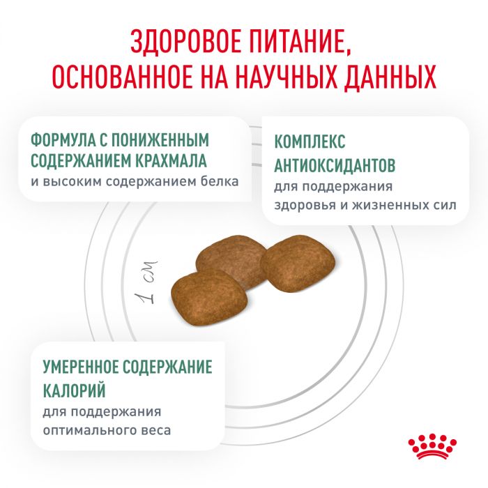 Royal Canin DIABETIC (ДИАБЕТИК) Корм ​​сухой полнорационный диетический для взрослых собак разработан для контроля уровня глюкозы при сахарном диабете. Ветеринарная диета