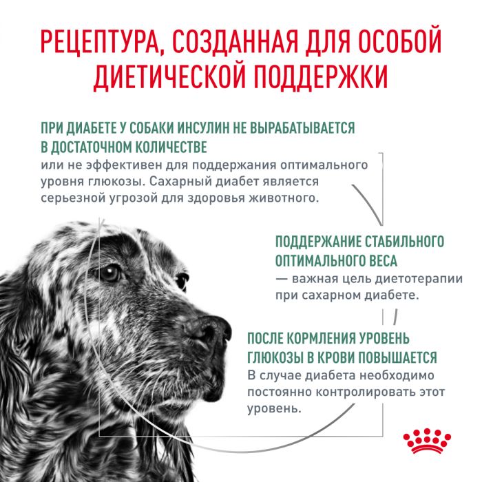 Royal Canin Diabetic DS 37 Canine Корм сухой диетический для взрослых собак при сахарном диабете