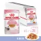 Корм Royal Canin Kitten Jelly консервированный полнорационный для кошек - Специально для котят в период второй фазы роста в возрасте до 12 месяцев, кусочки в желе