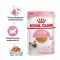 Корм Royal Canin Kitten Jelly консервированный полнорационный для кошек - Специально для котят в период второй фазы роста в возрасте до 12 месяцев, кусочки в желе