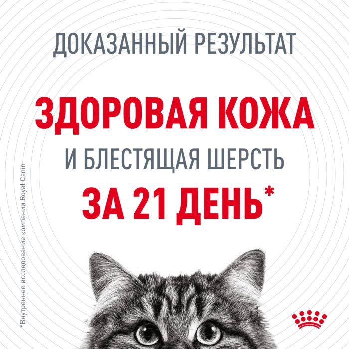 Корм Royal Canin Hair&Skin Care консервированный полнорационный для взрослых кошек для поддержания здоровья кожи и красоты шерсти, ломтики ткани в желе Информация о продукте Описание 0,085 кг