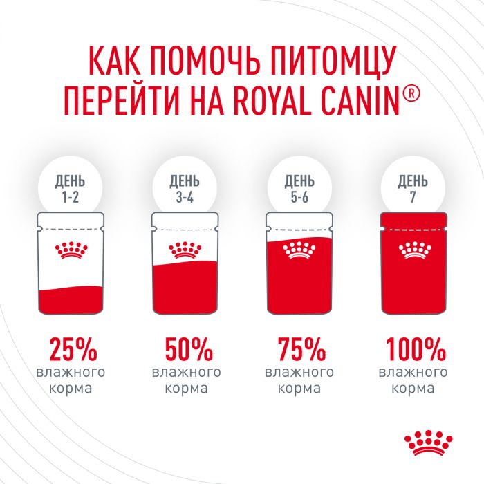 Корм Royal Canin Hair&Skin Care консервированный полнорационный для взрослых кошек для поддержания здоровья кожи и красоты шерсти, ломтики ткани в желе