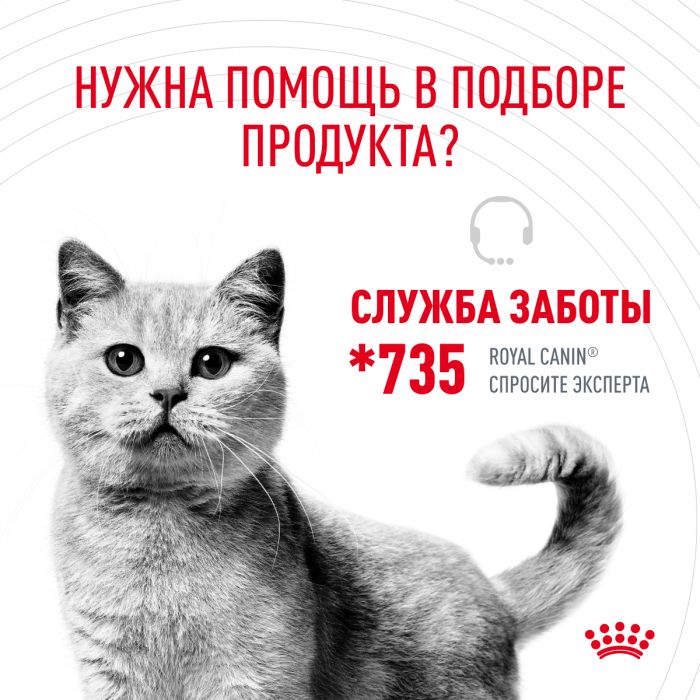 Корм Royal Canin Hair&Skin Care консервированный полнорационный для взрослых кошек для поддержания здоровья кожи и красоты шерсти, ломтики ткани в желе Информация о продукте Описание 0,085 кг