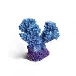 Коралл (Laguna) 2913LD Акропора мини 5,5*3,2*5,5см Коралл (Laguna) 2913LD Акропора мини 5,5*3,2*5,5см