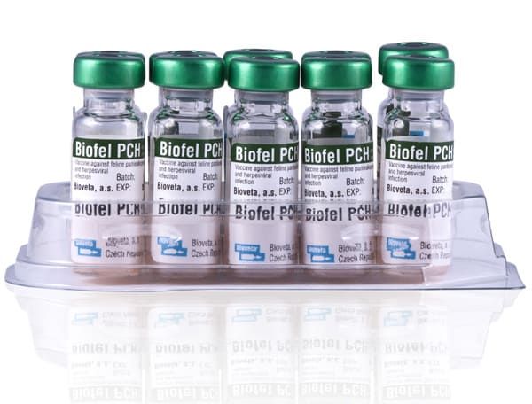 БИОФЕЛ РCH (ЛИЦЕНЗИЯ)