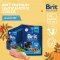 Brit Premium 0,085кг цыпленок в соусе пауч для котят (48809)
