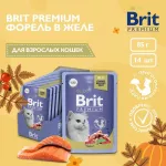 Brit Premium 0,085кг форель в желе пауч для взрослых кошек (5050185) Brit Premium 0,085кг форель в желе пауч для взрослых кошек (5050185)
