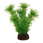 Растение (Laguna) 1393 пласт. 10-13см  Амбулия зеленая + Растение (Laguna) 1393 пласт. 10-13см  Амбулия зеленая +