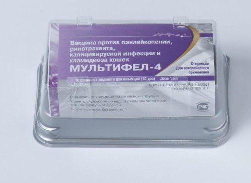 Мультифел-4 вакцина для кошек (упаковка) (ЛИЦЕНЗИЯ)