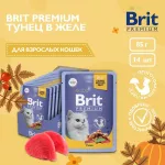 Brit Premium 0,085кг тунец в желе пауч для взрослых кошек (5050154) Brit Premium 0,085кг тунец в желе пауч для взрослых кошек (5050154)