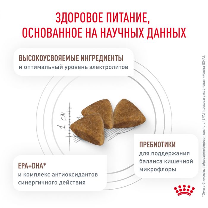 Royal Canin GASTROINTESTINAL (ГАСТРОИНТЕСТИНАЛ) Корм ​​сухой полнорационный диетический для взрослых кошек, применяется при тяжелых расстройствах пищеварения, в реабилитационный период и при истощении. Ветеринарная диета