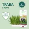 TiTBiT 0,04кг трава для кошек