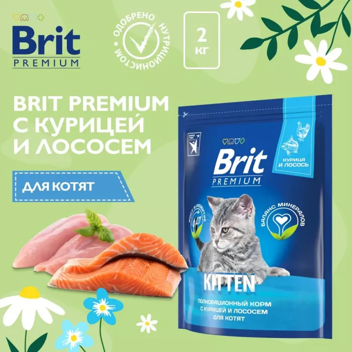 Brit Premium Cat 2кг Kitten курица сухой корм для котят (5049677)