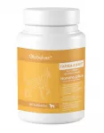 Комплекс (GlobalVet) Hondro plus для собак крупных пород для защиты суставов 55 таб.