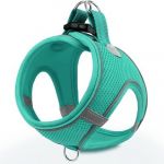 Шлейка-жилет №1 Favorite анатомическая, дышащая М бирюзовая, 32-34/44-48см Шлейка-жилет №1 Favorite анатомическая, дышащая М бирюзовая, 32-34/44-48см