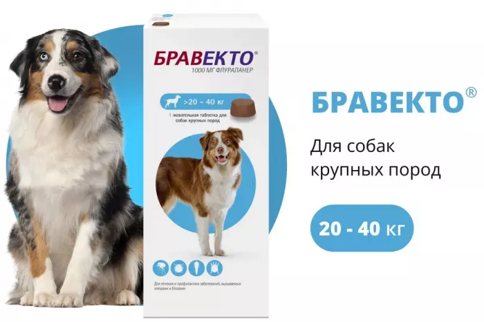 Бравекто (MSD Animal health) 1000мг от блох и клещей для собак 20-40кг 1таб. (12 недель) (ЛИЦЕНЗИЯ)