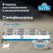 Farmina (Фармина) Vet Life Cat Convalescence 0,085кг паштет (102840)