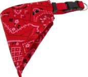 Ошейник (Каскад) нейлон с косынкой 10мм*22*35см красный Ошейник (Каскад) нейлон с косынкой 10мм*22*35см красный