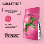 Wellement 2,5кг с ягненком сухой для собак с чувствительным пищеварением (003737)