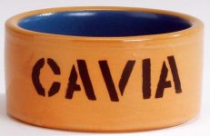 Миска (Beeztees) 801480 керамическая для морской свинки, бежево-голубая, 11,5см Миска (Beeztees) 801480 керамическая для морской свинки, бежево-голубая, 11,5см