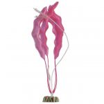 Растение (Tetra) GloFish флуоресцирующее XL 40см розовое (меняет цвет в УФ-свете) Растение (Tetra) GloFish флуоресцирующее XL 40см розовое (меняет цвет в УФ-свете)