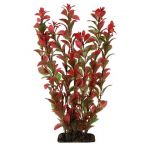 Растение (Laguna) 10см Людвигия красная Растение (Laguna) 10см Людвигия красная