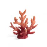 Коралл (Laguna) 2910LD Акропора 6*3,5*7см Коралл (Laguna) 2910LD Акропора 6*3,5*7см