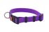 Ошейник Каскад из биотана с фастексом, 25мм, обх.шеи. 37-55см, матовый, фиолетовый
