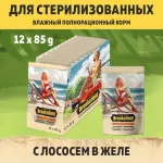 Brooksfield Sterilized Light Cat Salmon 0,085кг лосось в желе для стерилизованных с избыточным весом влажный для кошек (350358) Brooksfield Sterilized Light Cat Salmon 0,085кг лосось в желе для стерилизованных с избыточным весом влажный для кошек (350358)