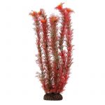 Растение (Laguna) 2955 пластик 29см  Амбулия красная + Растение (Laguna) 2955 пластик 29см  Амбулия красная +