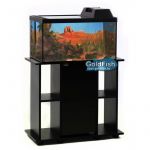 Террариум Голдфиш 35л (38,5*34*28,4) с черной крышкой и диод.лампой Тер35F Е14 чер Террариум Голдфиш 35л (38,5*34*28,4) с черной крышкой и диод.лампой Тер35F Е14 чер