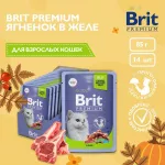 Brit Premium 0,085кг ягненок в желе пауч для  взрослых кошек (5050147) Brit Premium 0,085кг ягненок в желе пауч для  взрослых кошек (5050147)