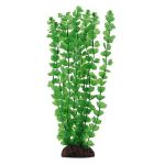 Растение (Laguna) 10см Бакопа зеленая Растение (Laguna) 10см Бакопа зеленая