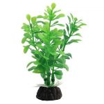 Растение (Laguna) 10см Альтернатера зеленая Растение (Laguna) 10см Альтернатера зеленая