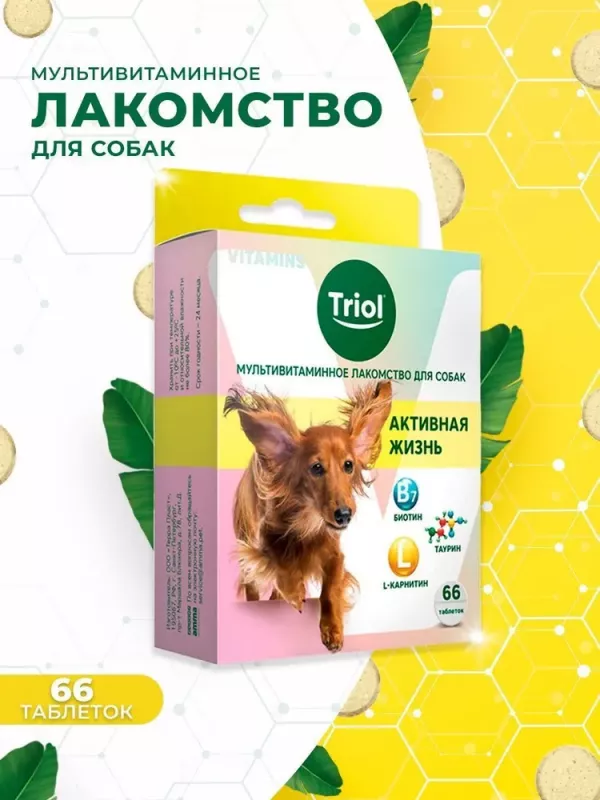 Triol 0,033кг лакомство мультивитаминное  Активная жизнь для собак