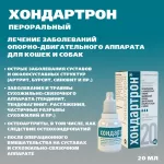 Хондартрон (Хелвет) заболевания опорно - двигательного аппарата,  20мл пероральный раствор (ЛИЦЕНЗИЯ) Хондартрон (Хелвет) заболевания опорно - двигательного аппарата,  20мл пероральный раствор (ЛИЦЕНЗИЯ)